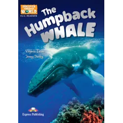 THE KILLER WHALE Reader
