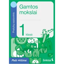 Gamtos mokslai. Pratybų sąsiuvinis 1 klasei. Serija Maži milžinai