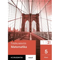 Matematika. Pratybų sąsiuvinis 5 klasei, 2 dalis, serija Horizontai
