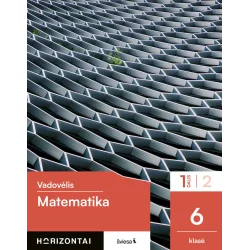 Matematika. Vadovėlis 6 klasei, 1 dalis, serija Horizontai