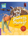Why Do Swings Swing? Level 4
