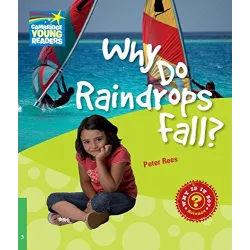 Why Do Raindrops Fall? Level 3