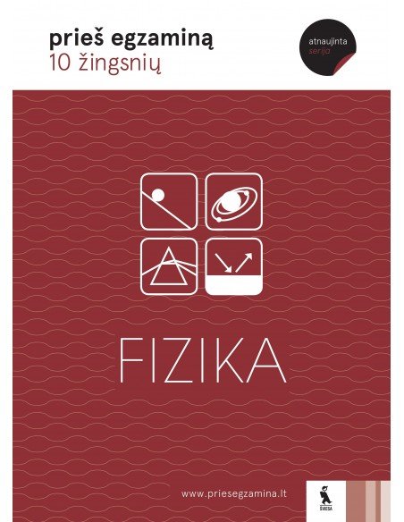 FIZIKA (s. „10 žingsnių“)
