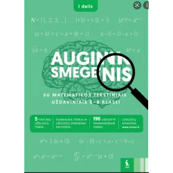 Matematikos tekstiniai uždaviniai 5-6 klasei